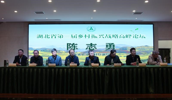 电竞游戏