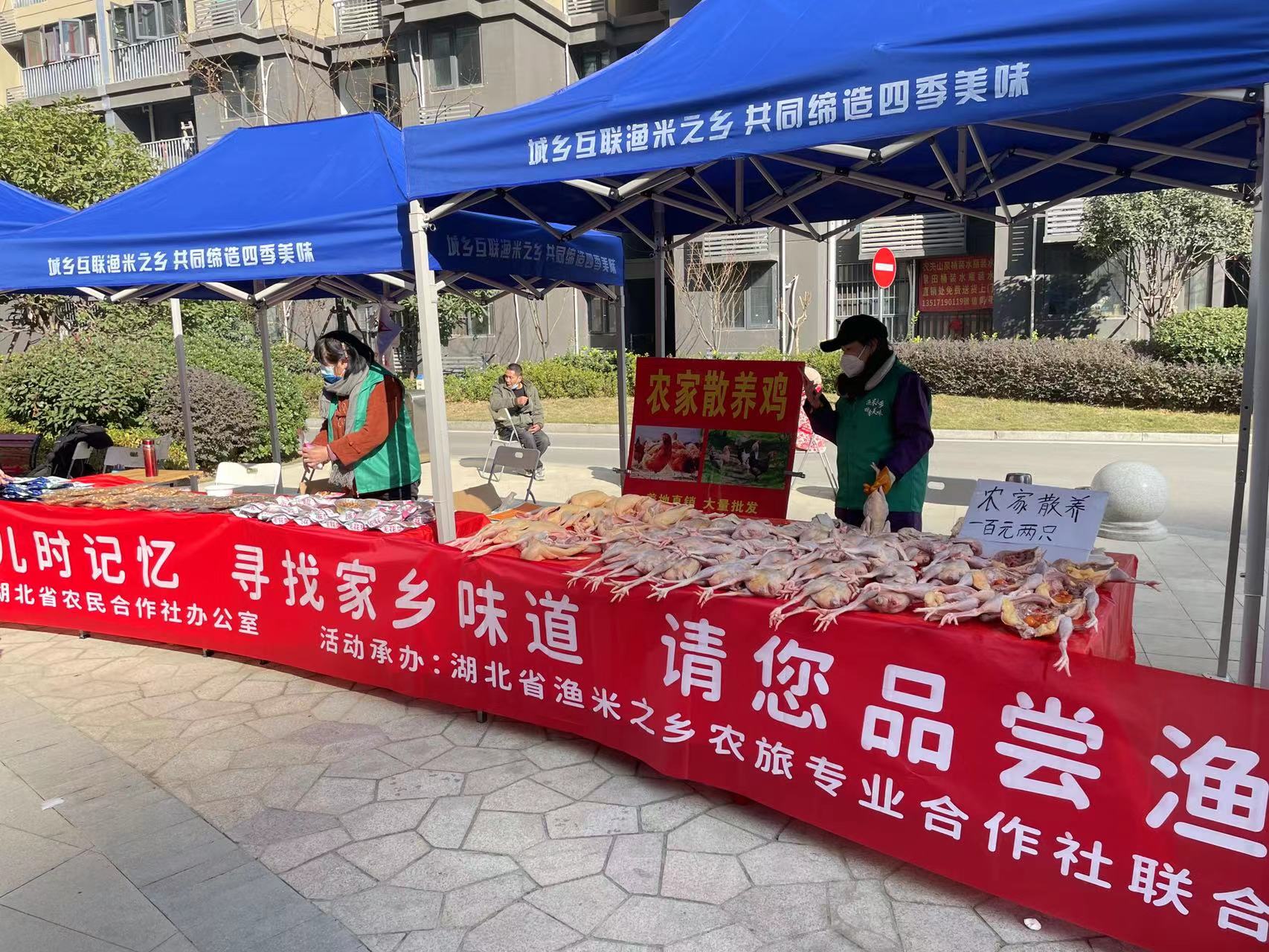 电竞游戏