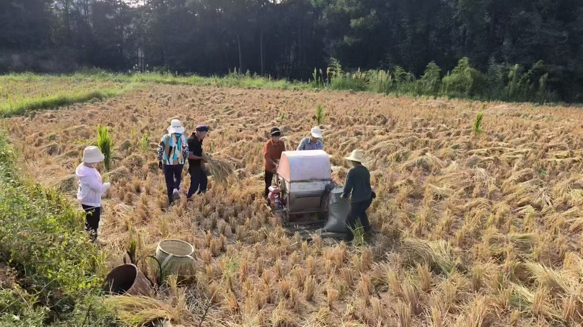 电竞游戏