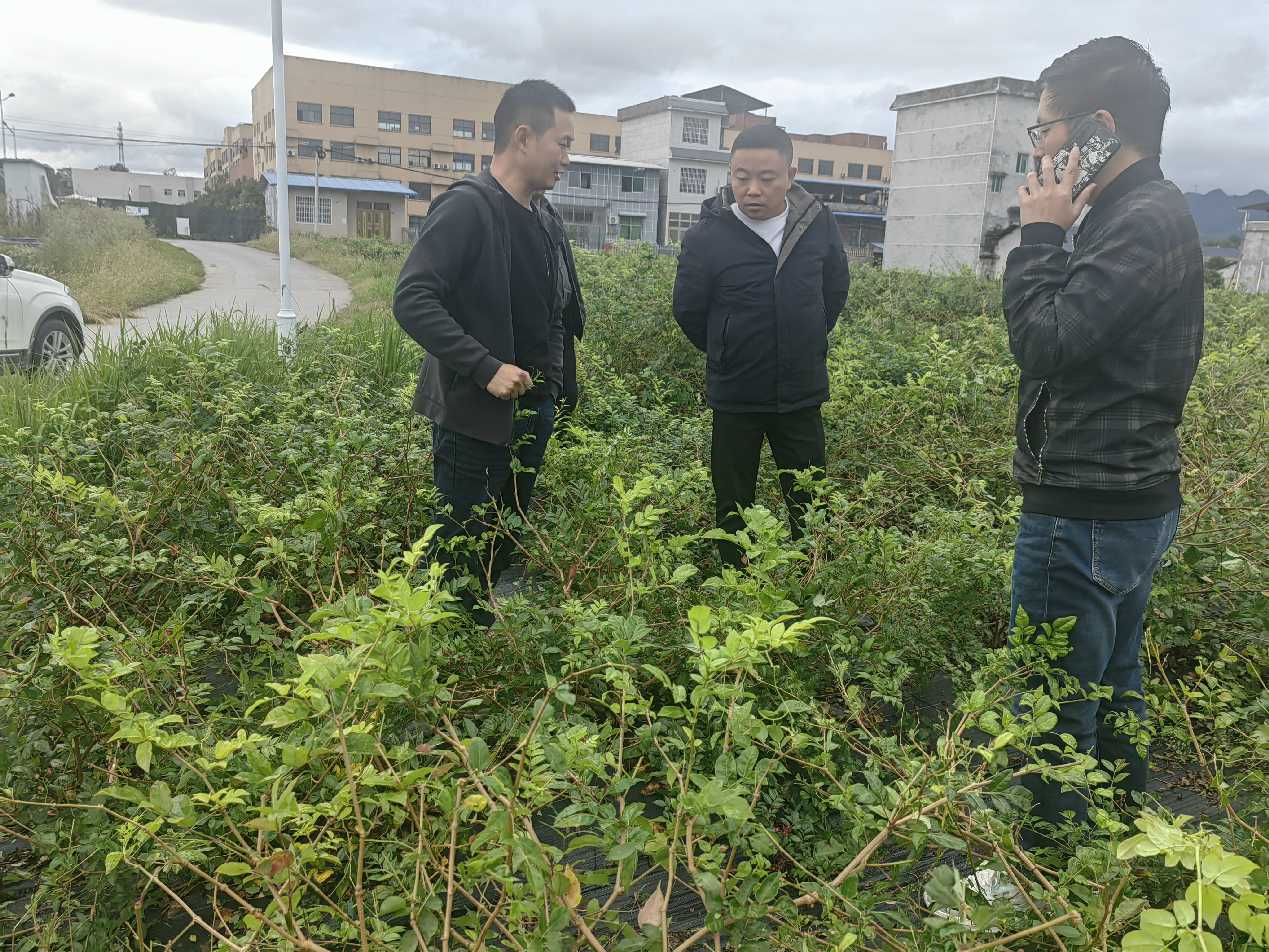 图片2.png 电竞游戏