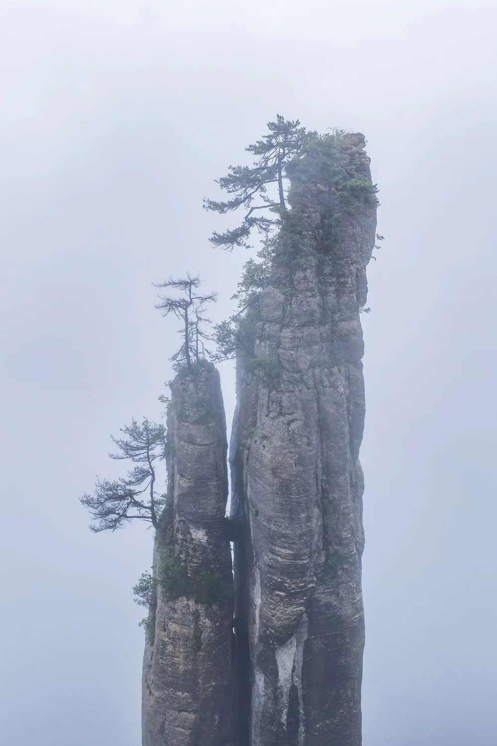 电竞游戏