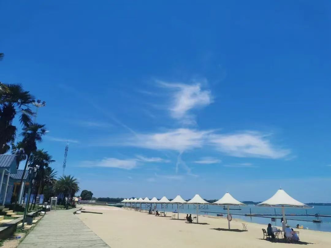 电竞游戏