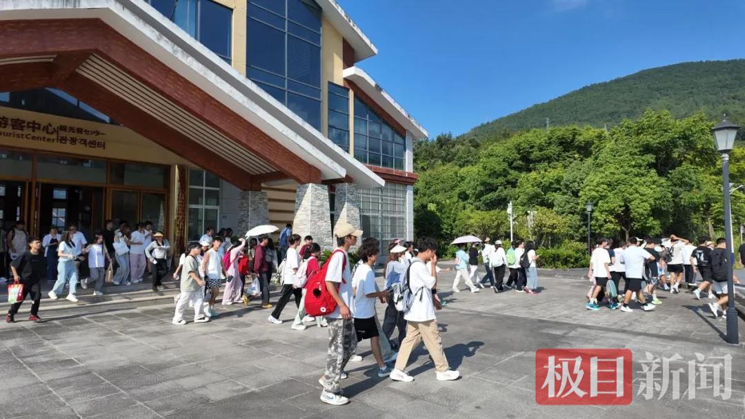 电竞游戏