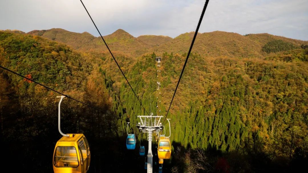 电竞游戏