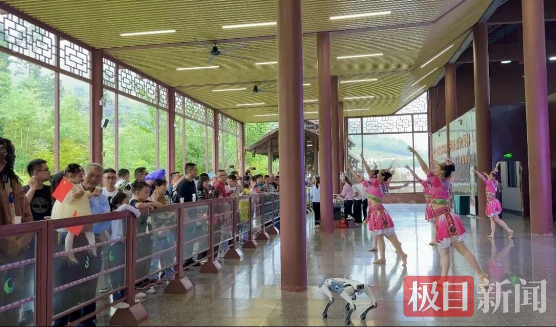 电竞游戏