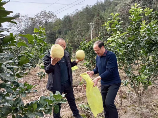 电竞游戏