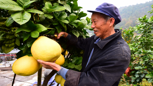 电竞游戏