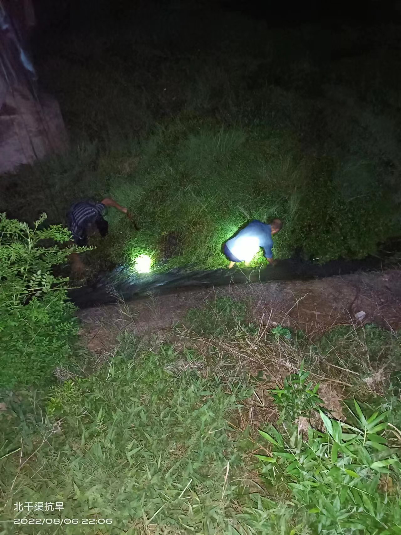 电竞游戏