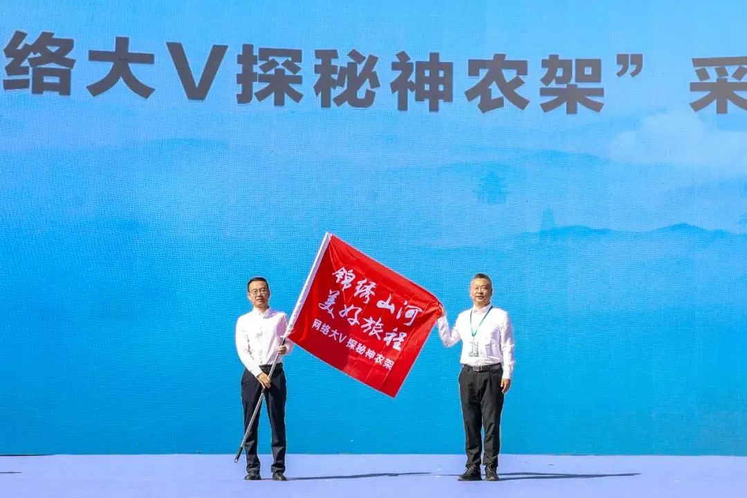 电竞游戏